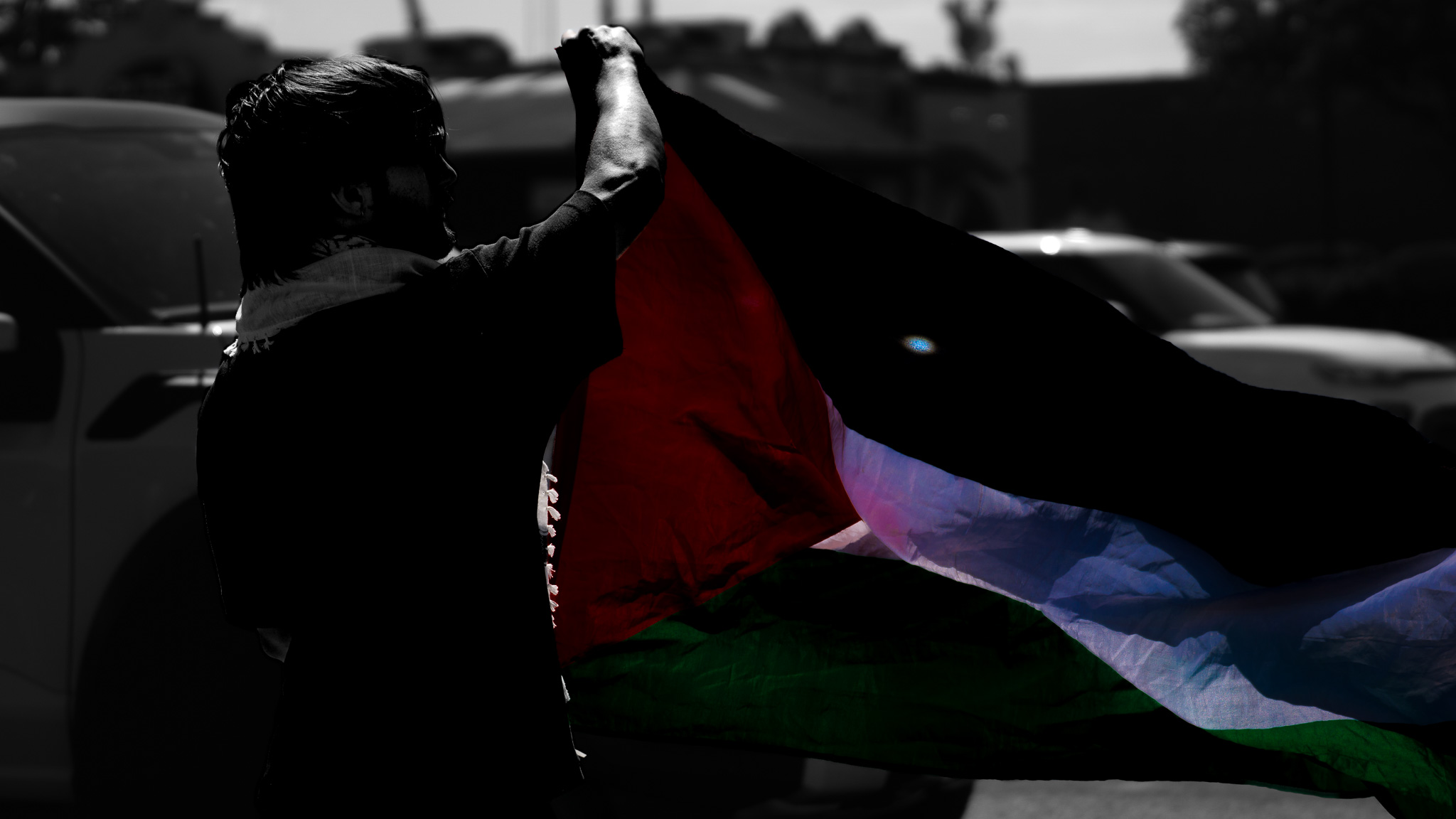 Artistic edit: silhouette holding Palestinian flag