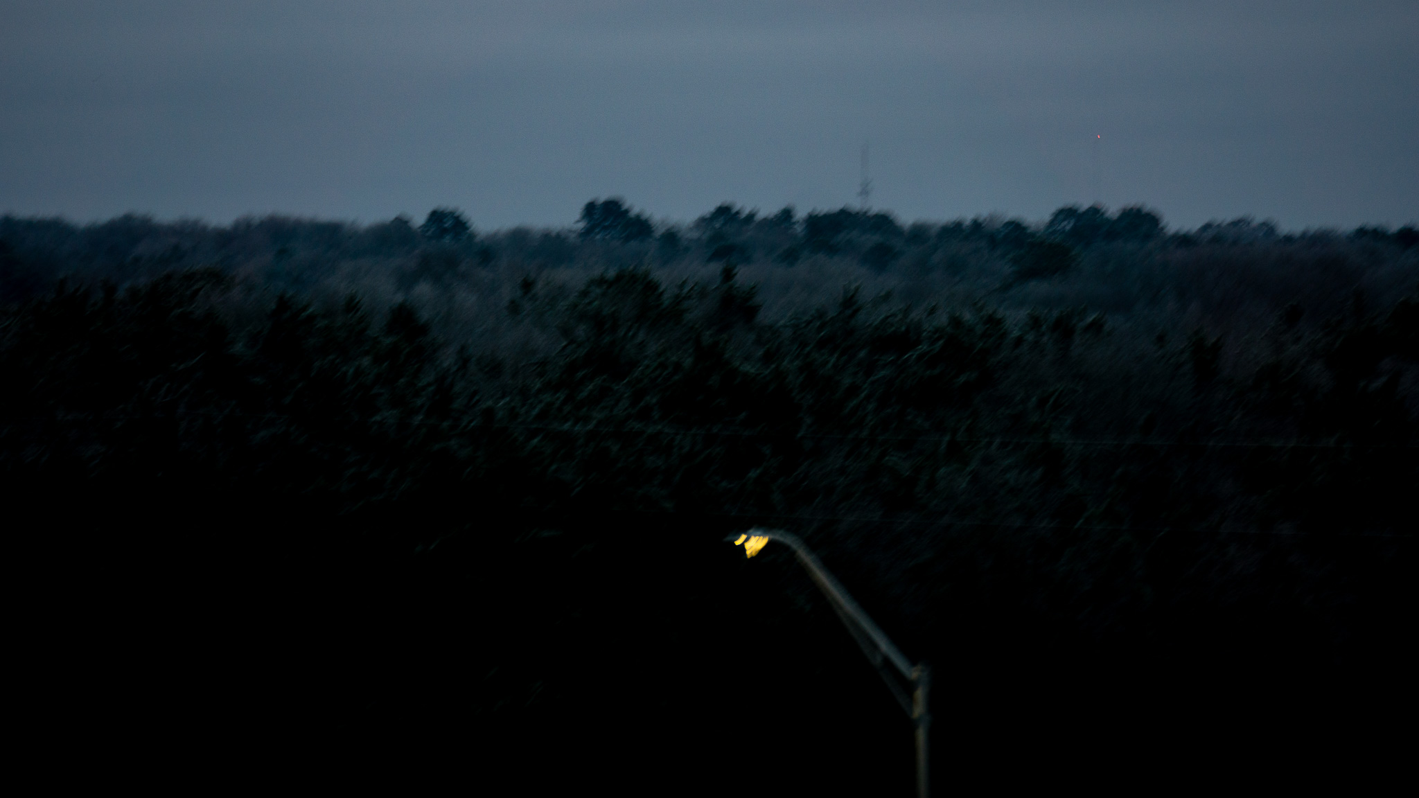 Artistic edit: lone streetlight against a dusk treeline